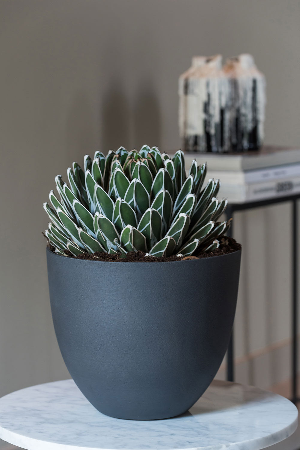 Small Refined Indoor Planters