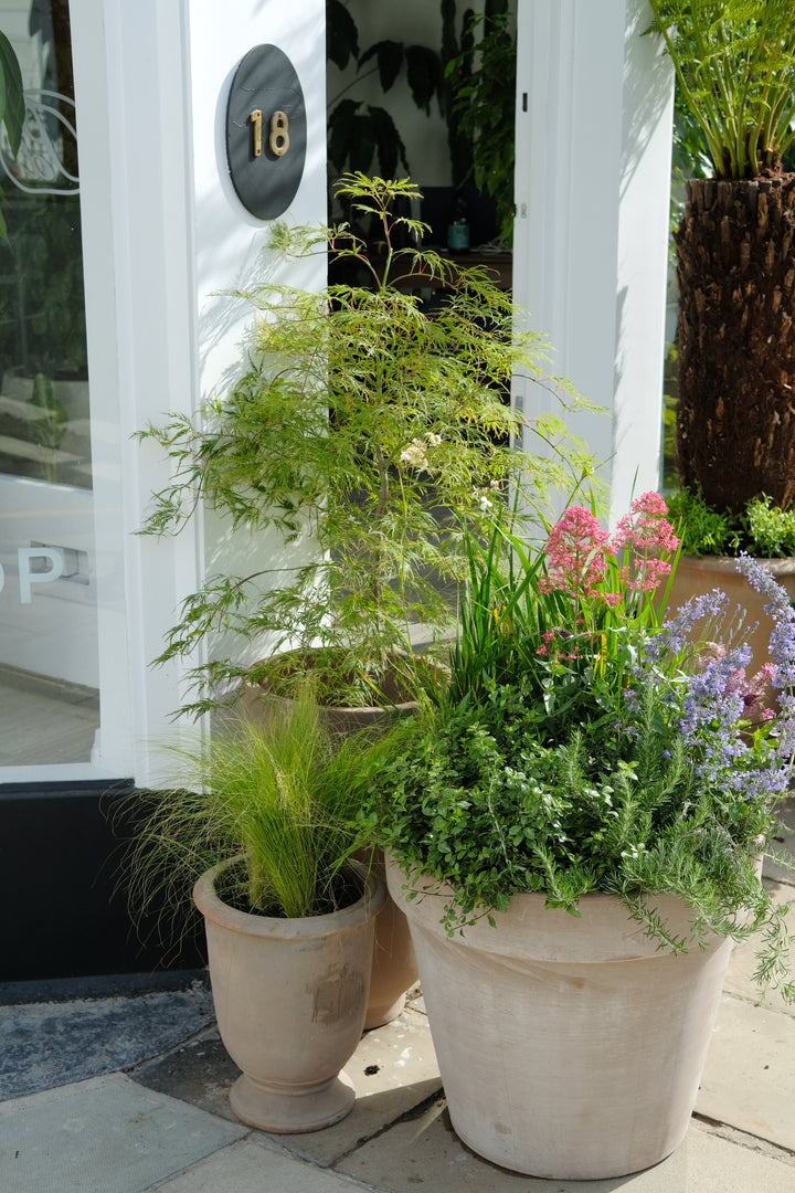 The Summer Pot — Seasonal Drop
