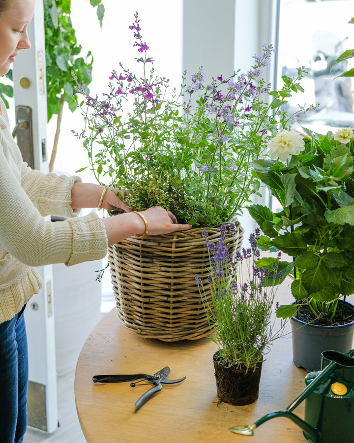 Seasonal Basket Masterclass