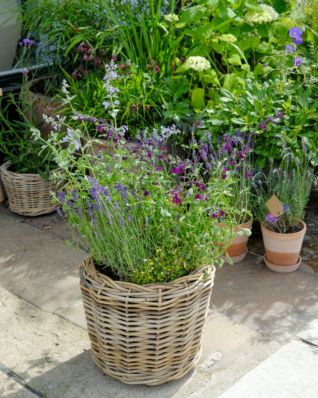 Seasonal Basket Masterclass