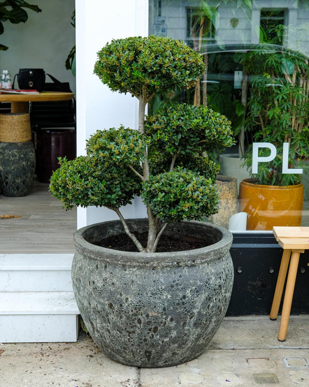 Ex Display Planters