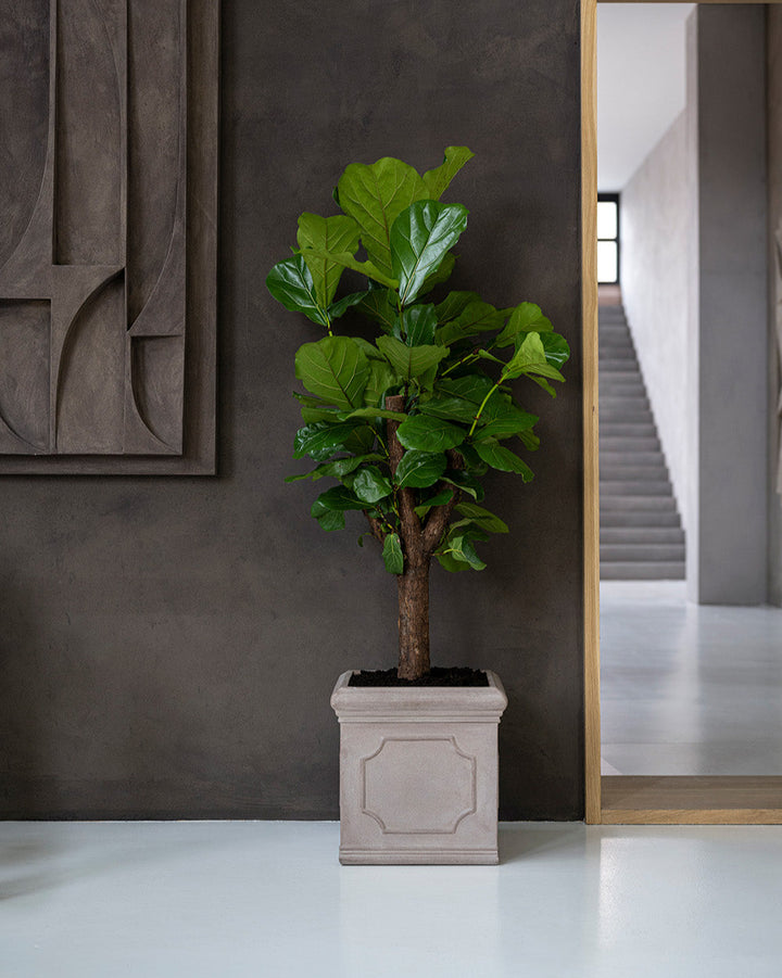 Heritage Box Planter