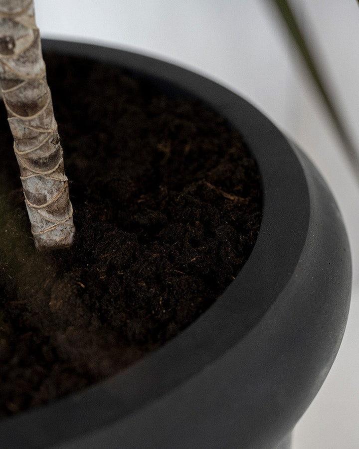 Heritage Cylinder Planter