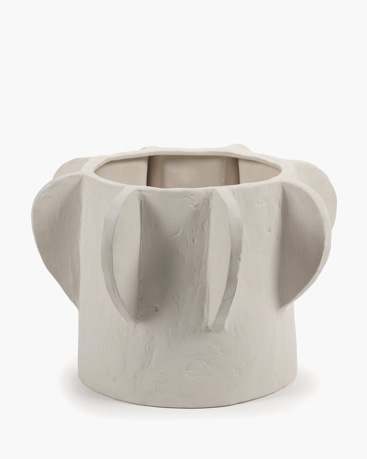 Molly Pot