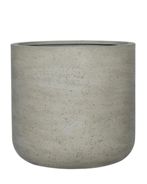 Jumbo rough washed concrete straight-sided planter — Plant Drop