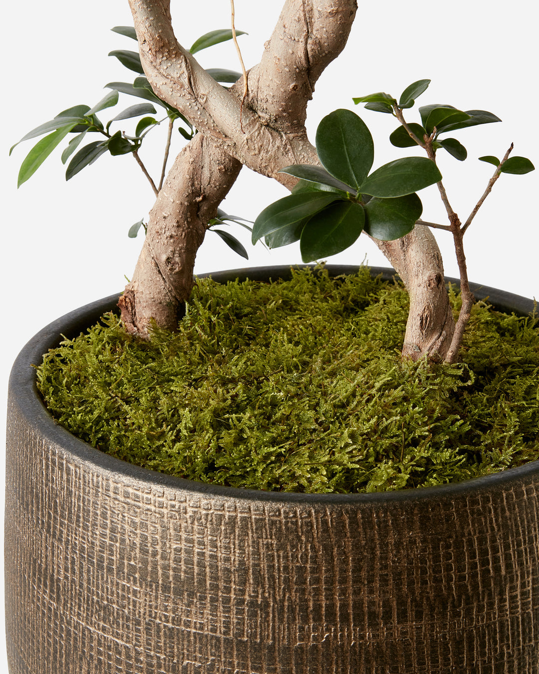Gold Weave Planter