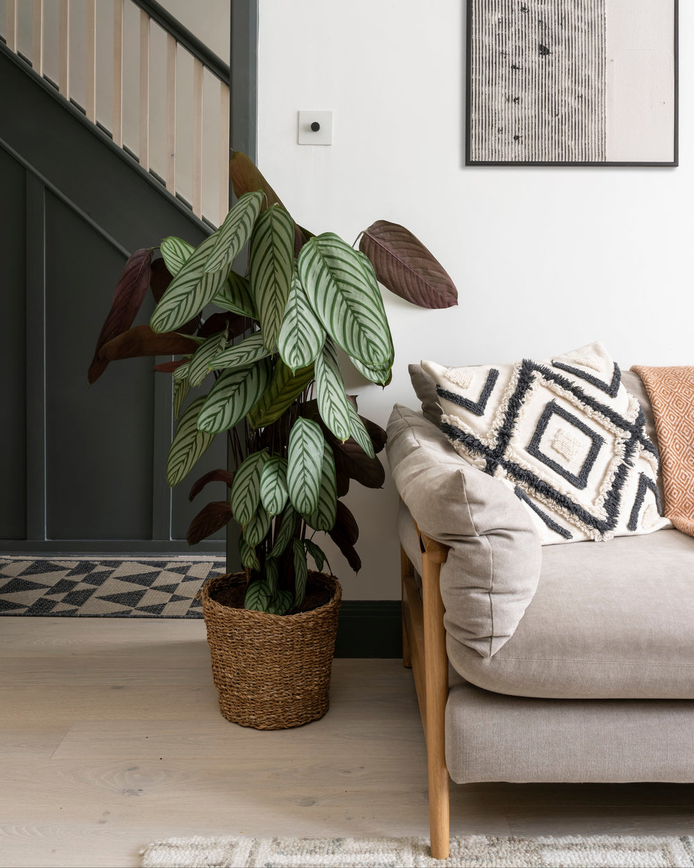 Living room with a potted plant and a sofa with decorative pillows.