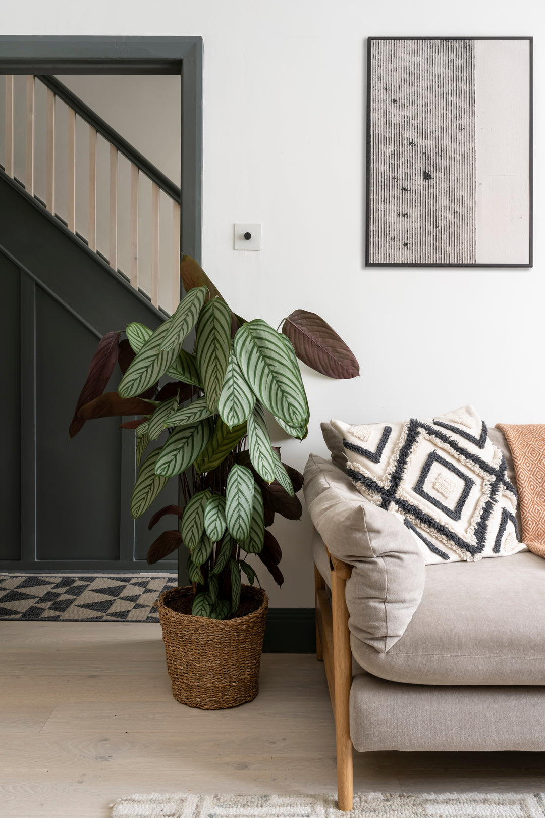 Living room with a potted plant and a sofa with decorative pillows.