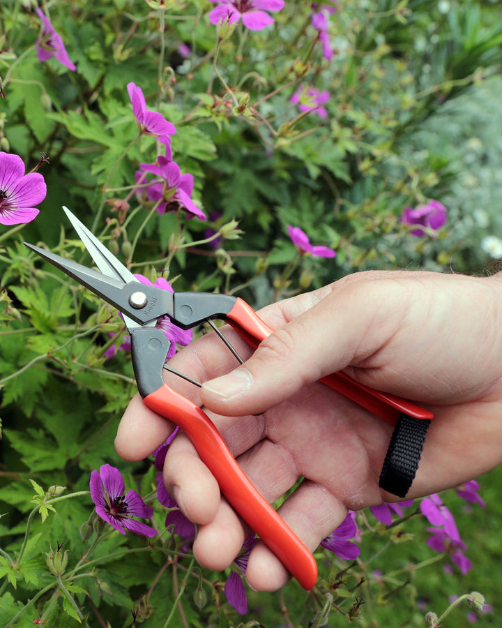 Niwaki Garden Snips