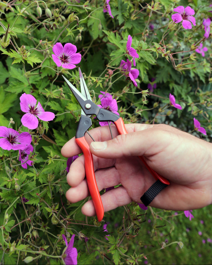 Niwaki Garden Snips