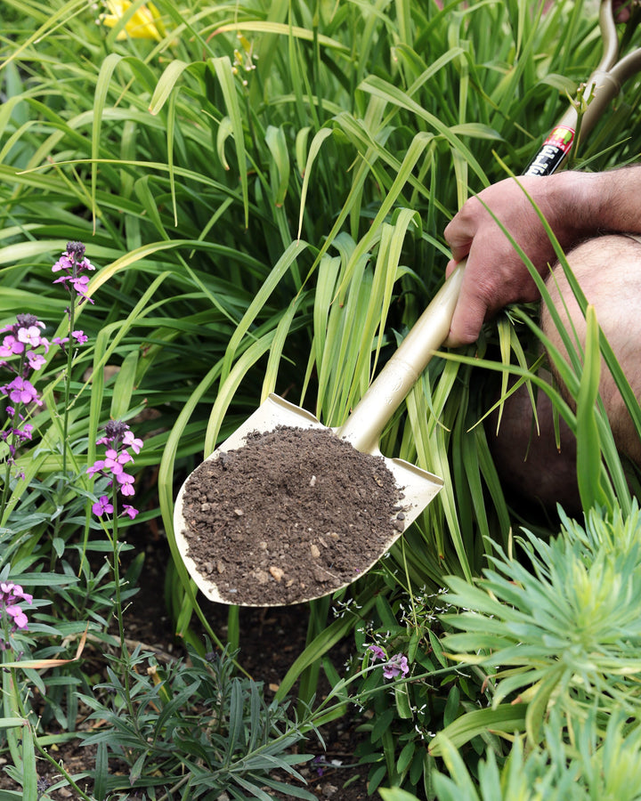 Niwaki Golden Spade, Made in Japan