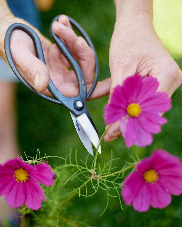 Niwaki Sentei Garden Scissors