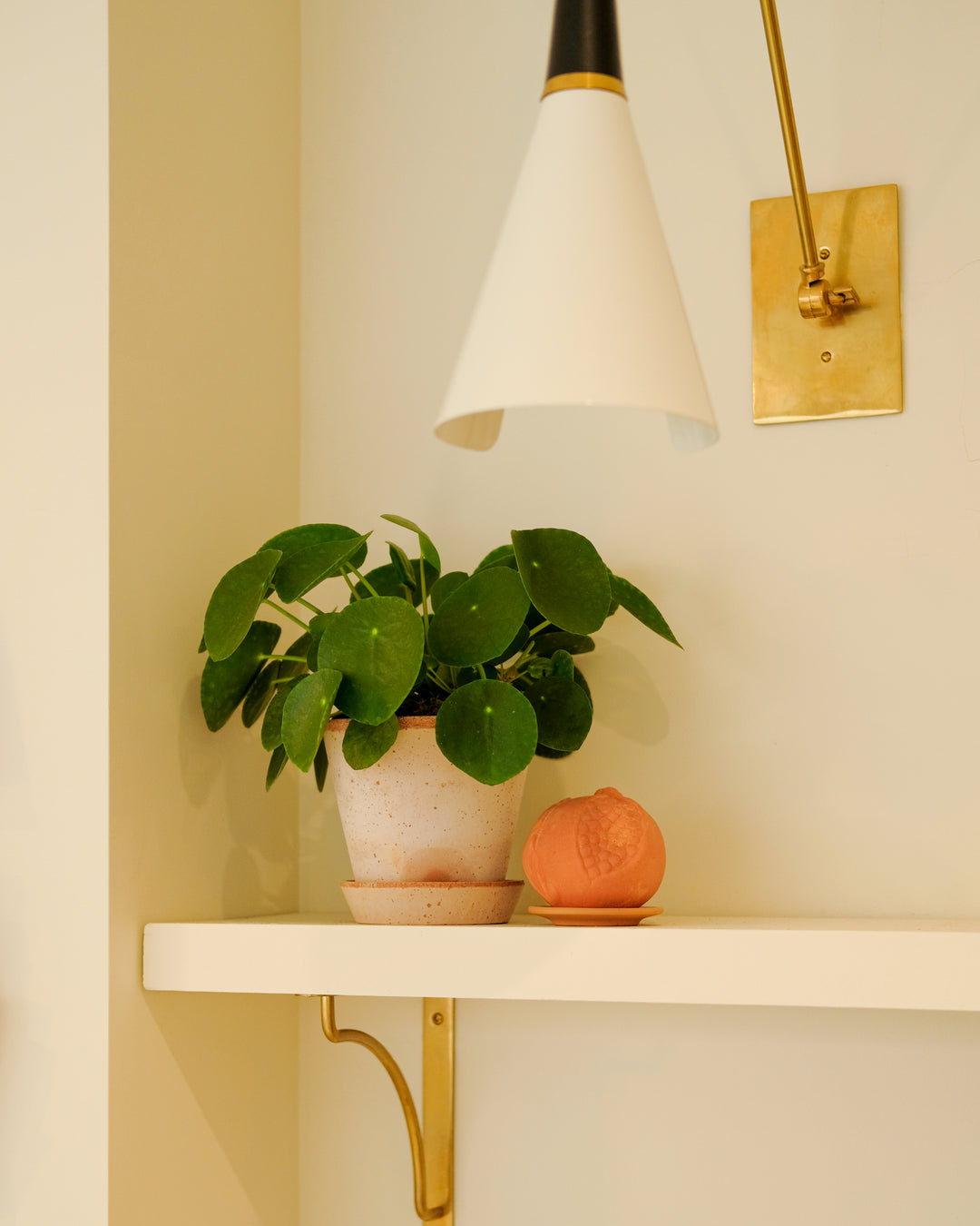 A white wall-mounted shelf with gold brackets in a warm cream room, holding a potted green plant and a peach-colored decorative object. A white and gold wall sconce hangs above.