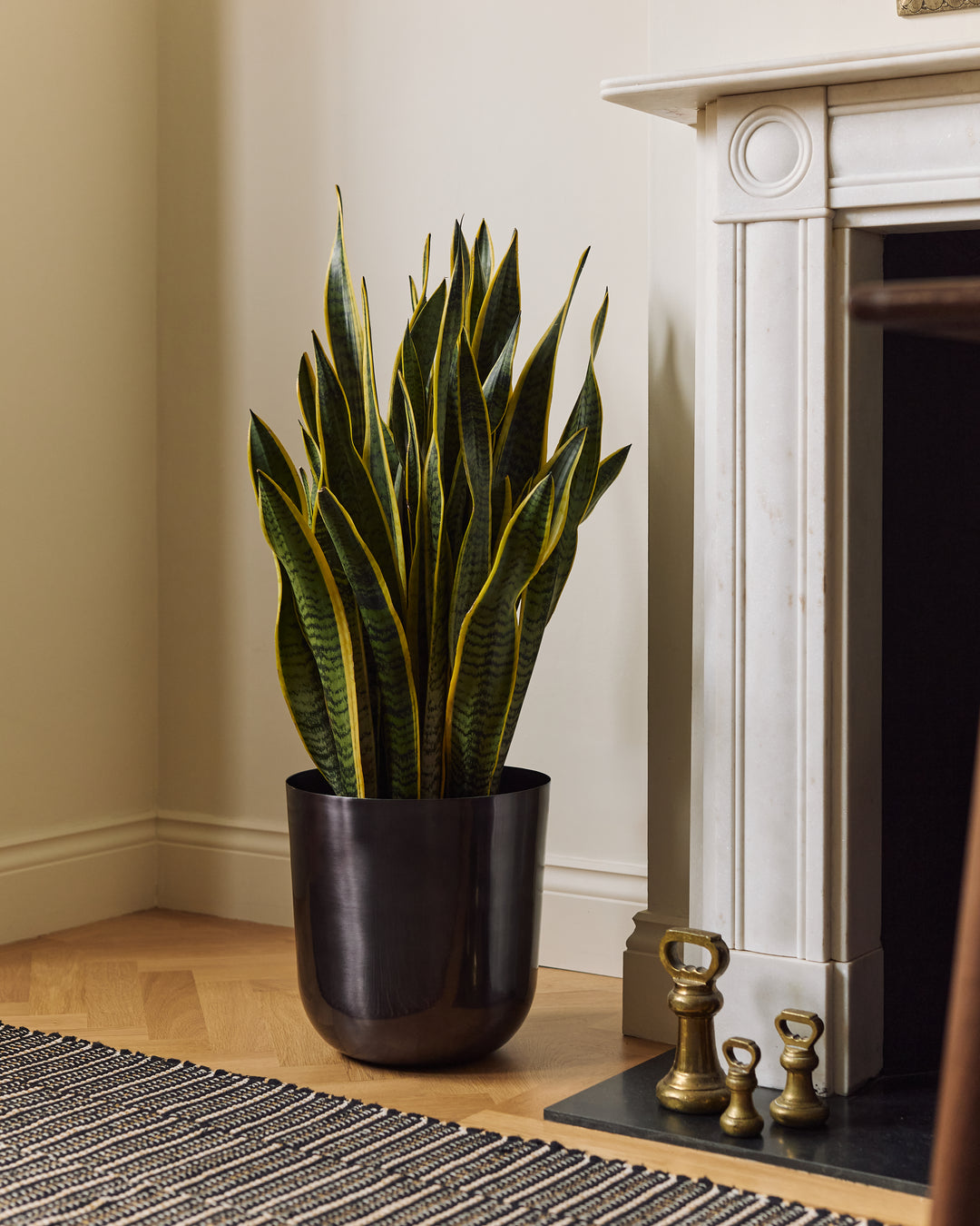 Brushed Metal Planters