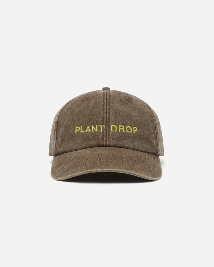 Plant Drop Cap