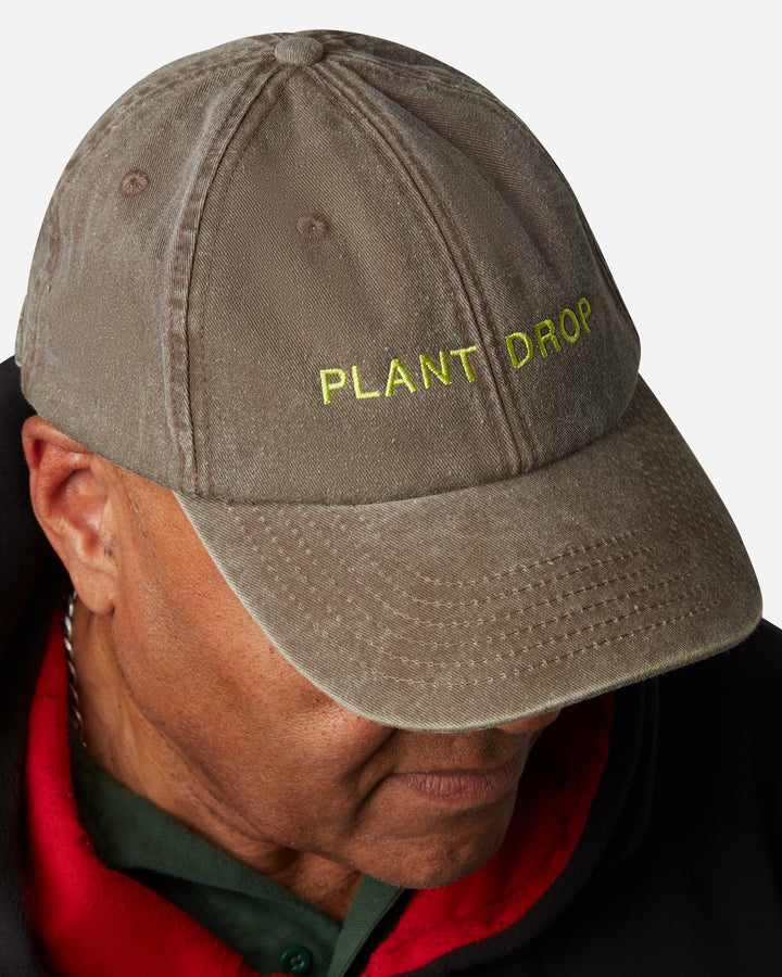 Plant Drop Cap