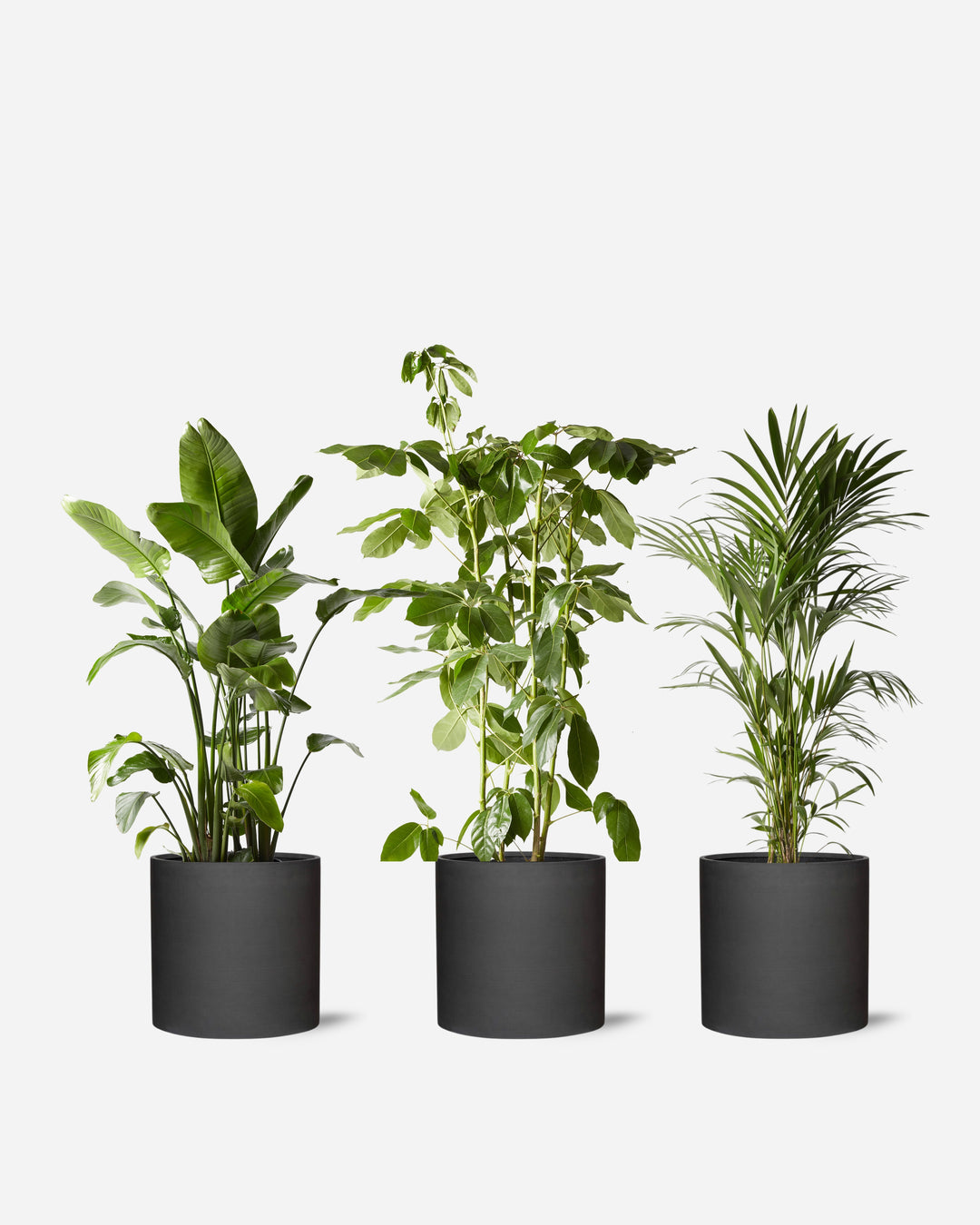 Architectural Set