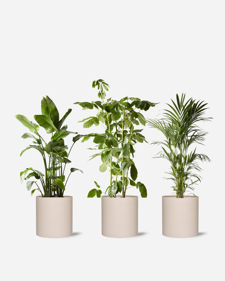 Architectural Set