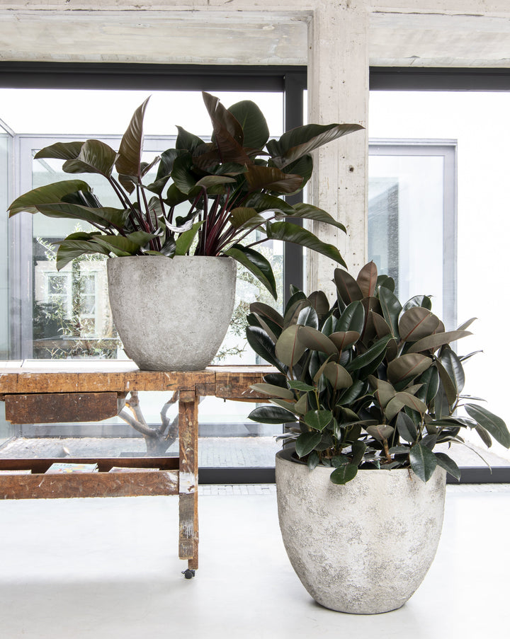 Oyster Couple Planters