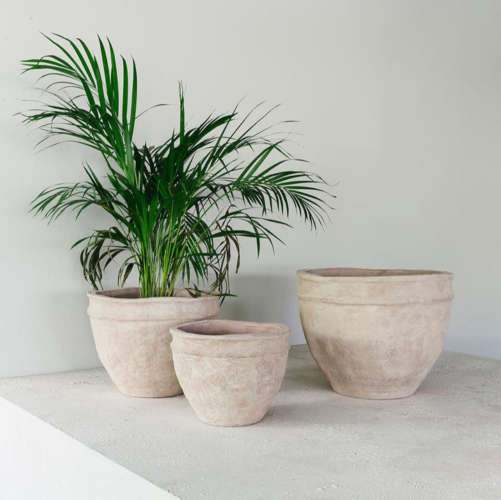 Reed Clay Planters