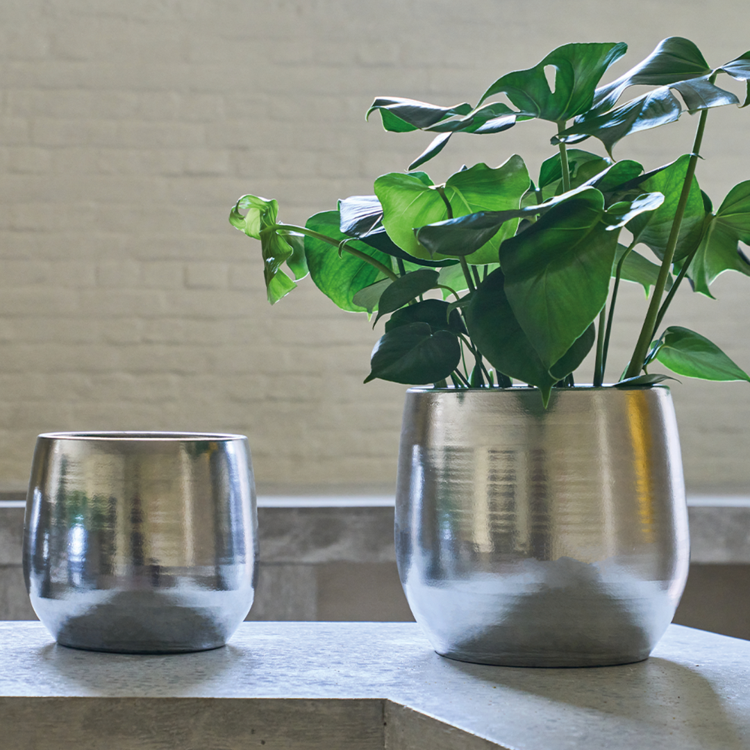 Silver Finish Ceramic Planter