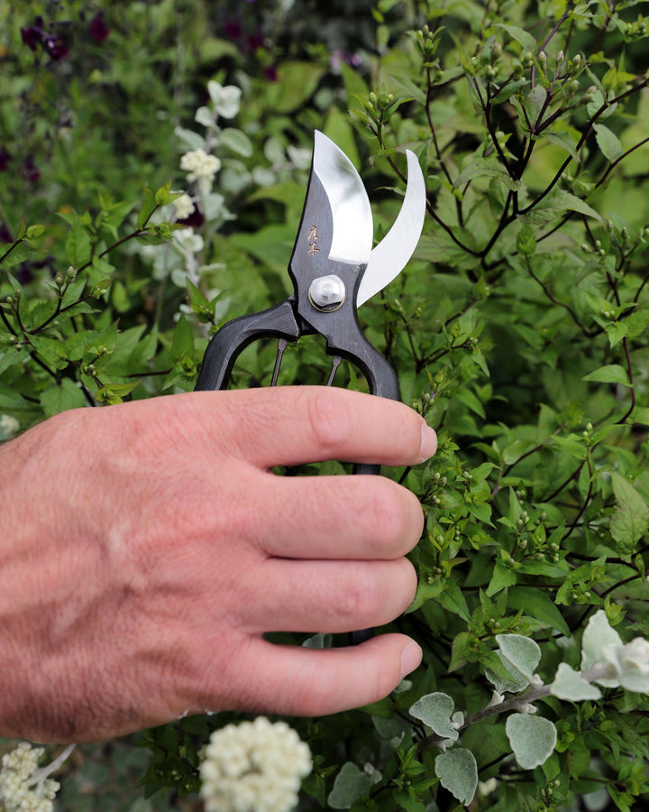 Niwaki Sentei Secateurs