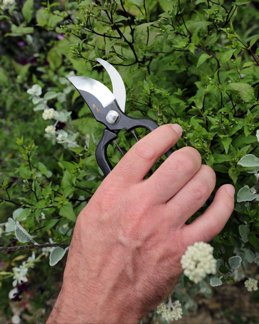 Niwaki Sentei Secateurs