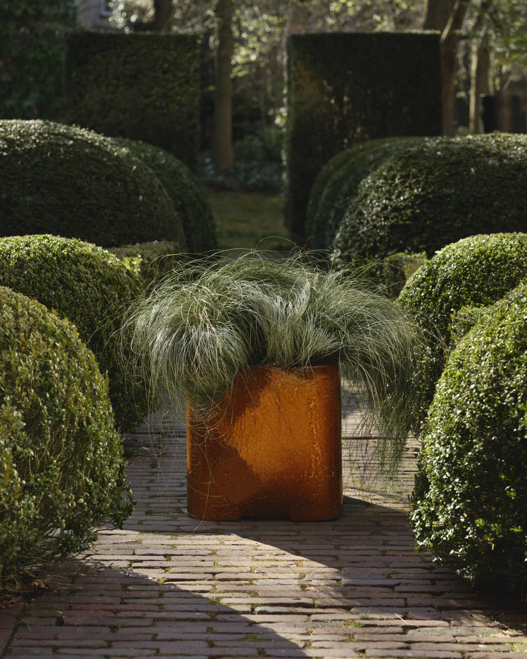 Book Amber Planter
