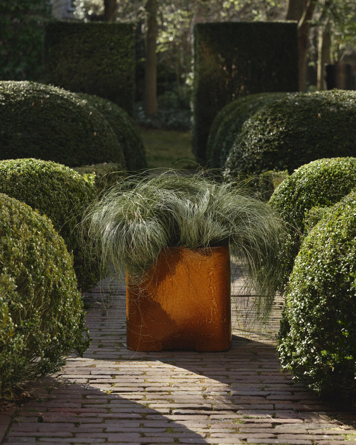 Book Amber Planter