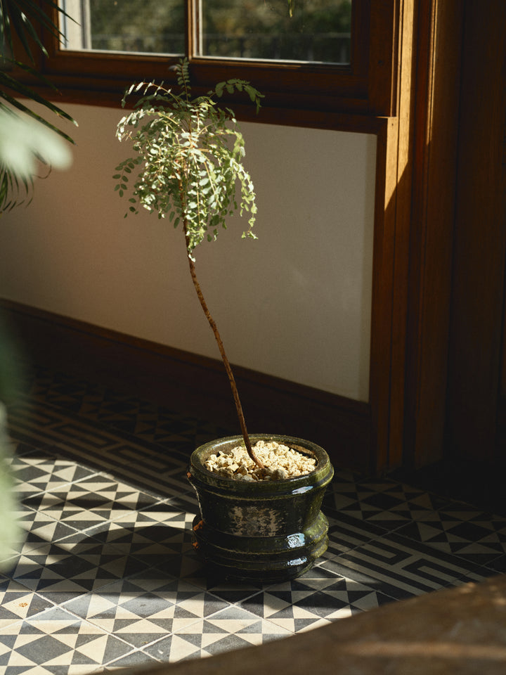 Mesa Vase