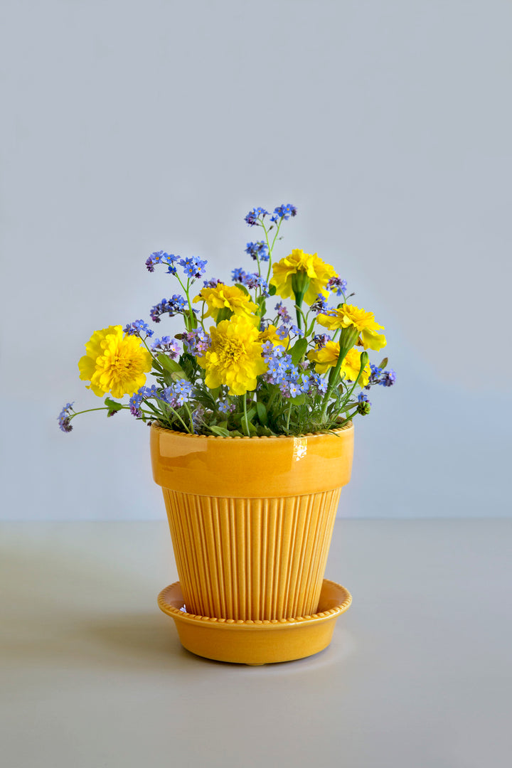 Simona Glazed Amber Yellow Pots