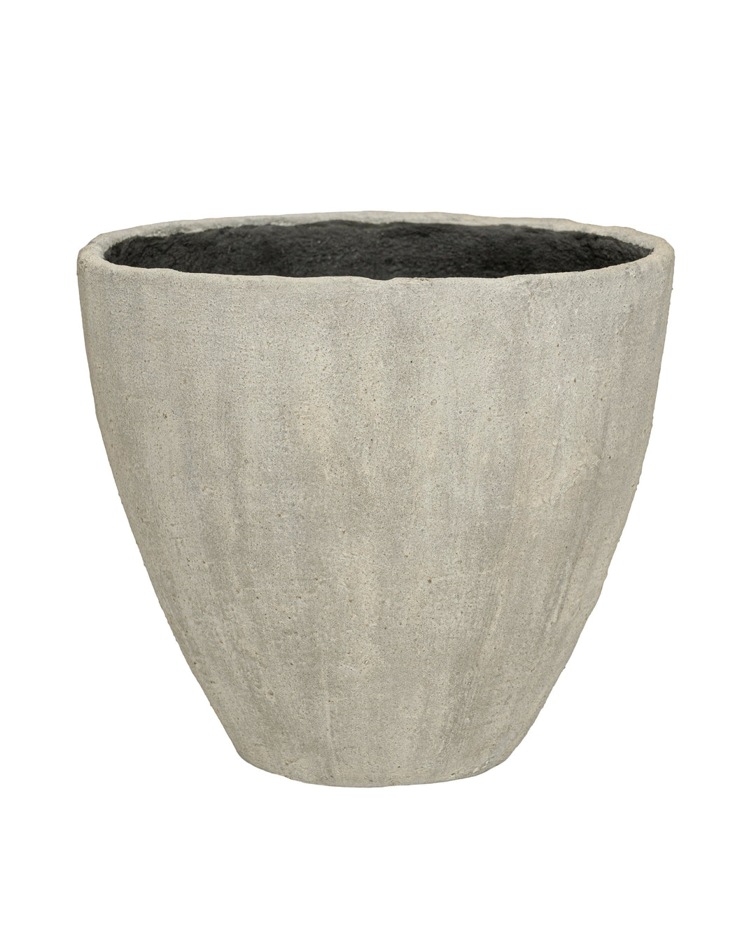 Concrete planter on a white background