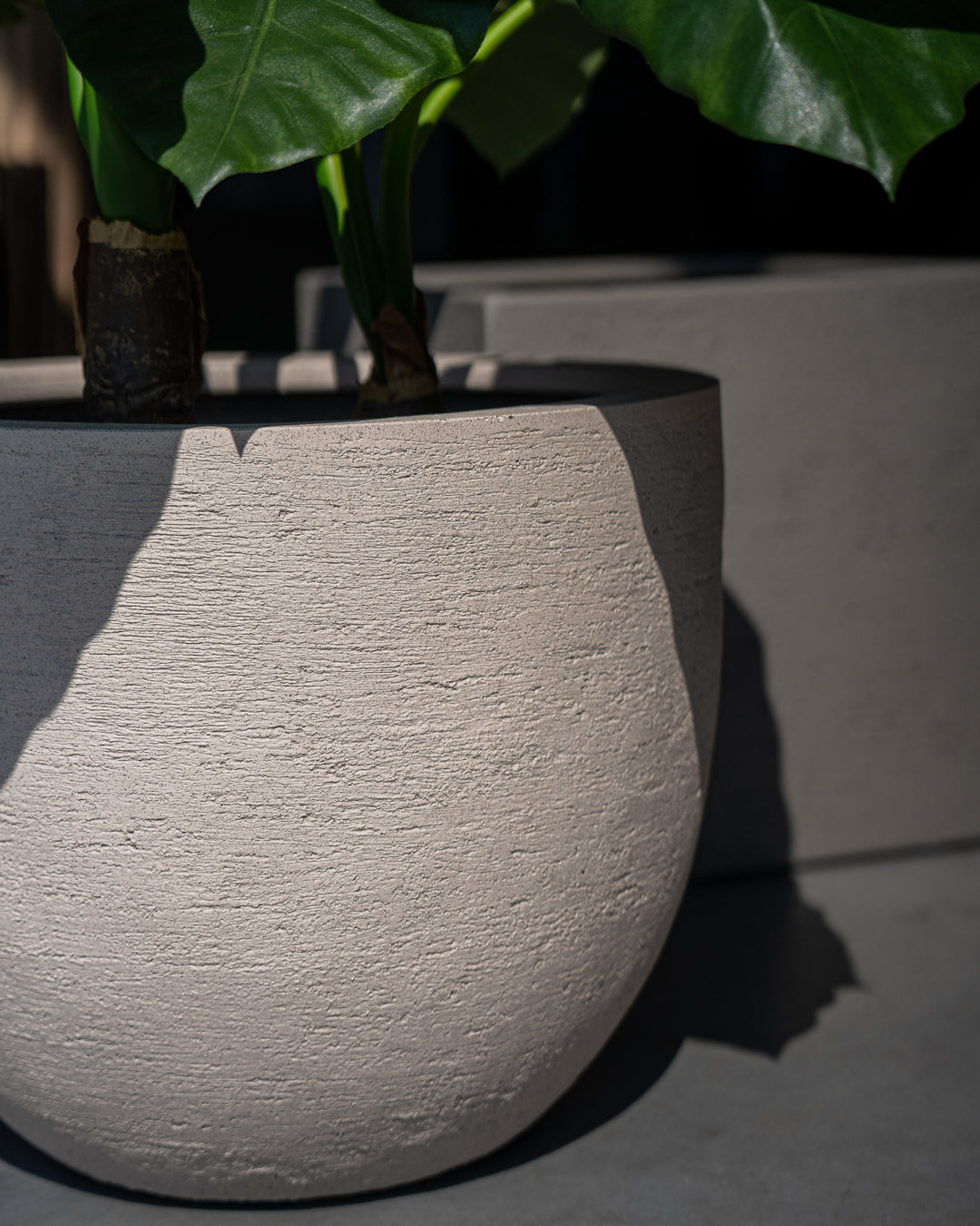 Earthen Egg Planter