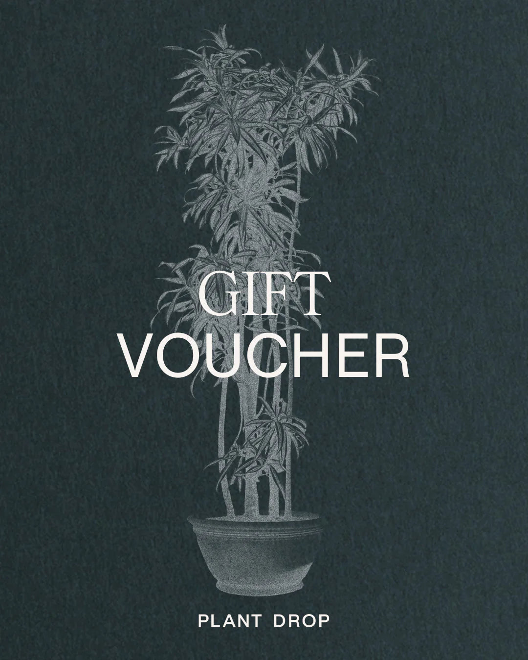 Plant Drop gift voucher