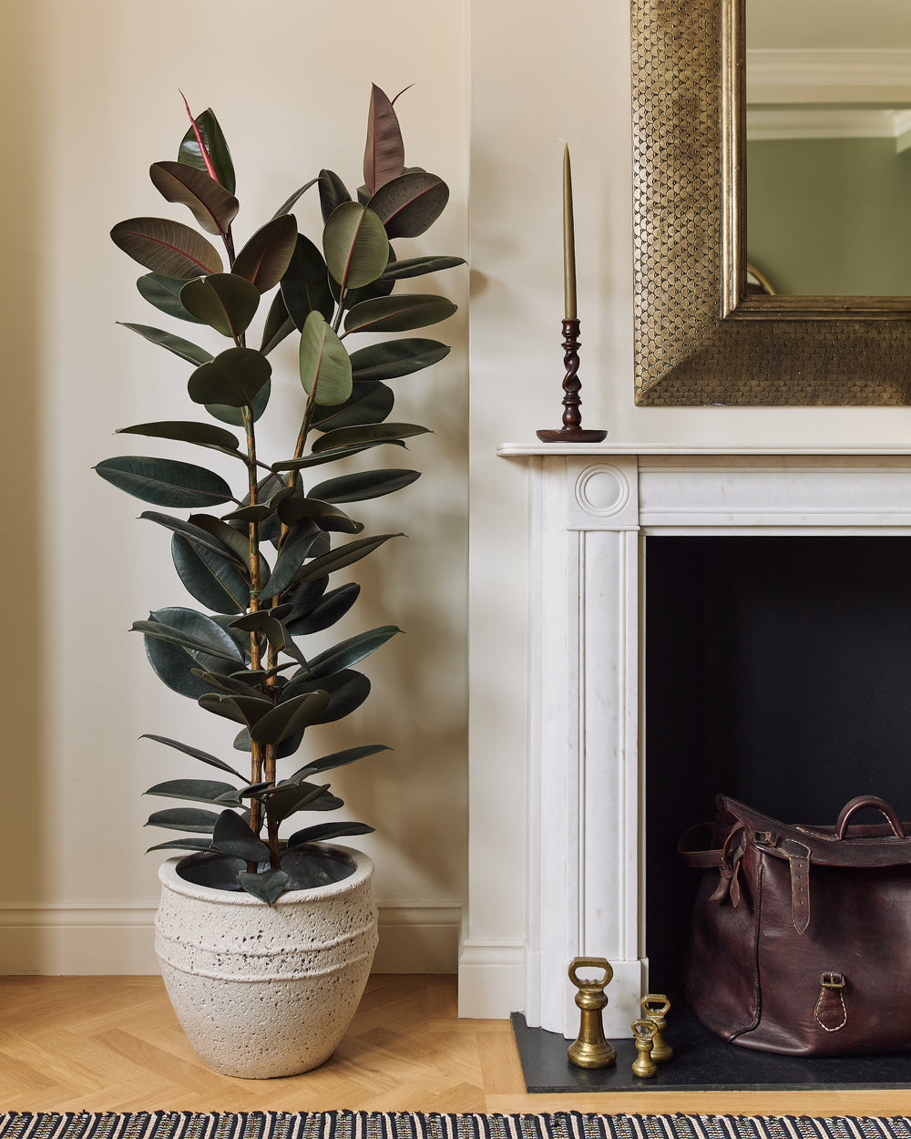 Grecian Athena pot with planting in an interior