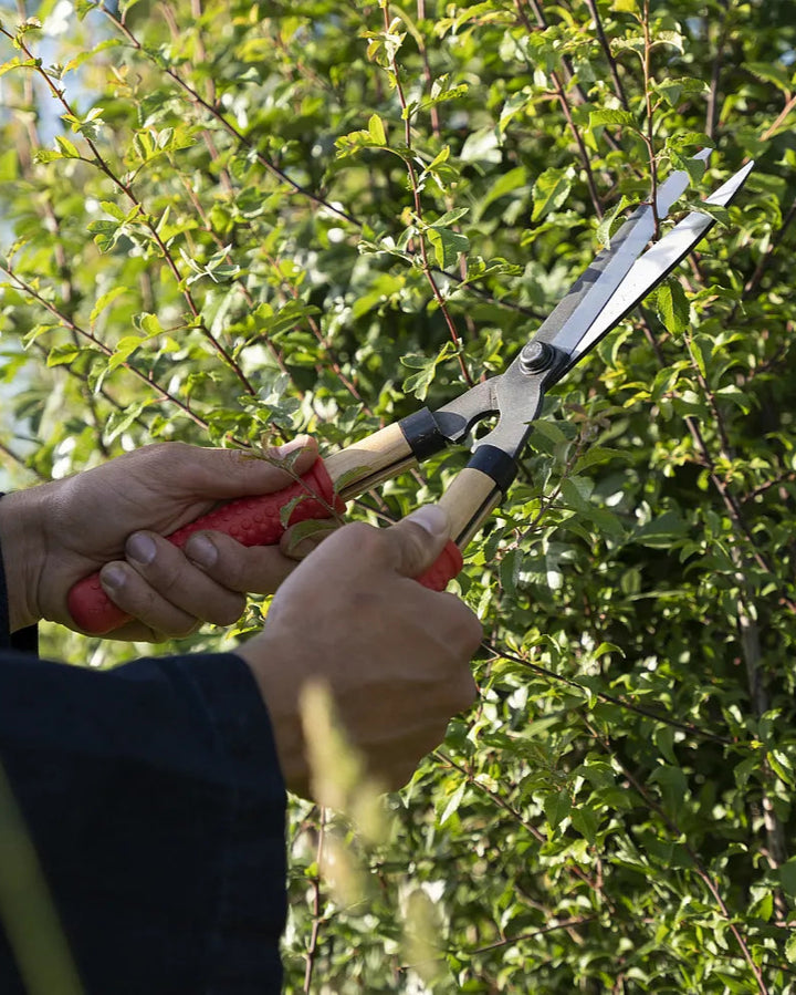 Mini Shears