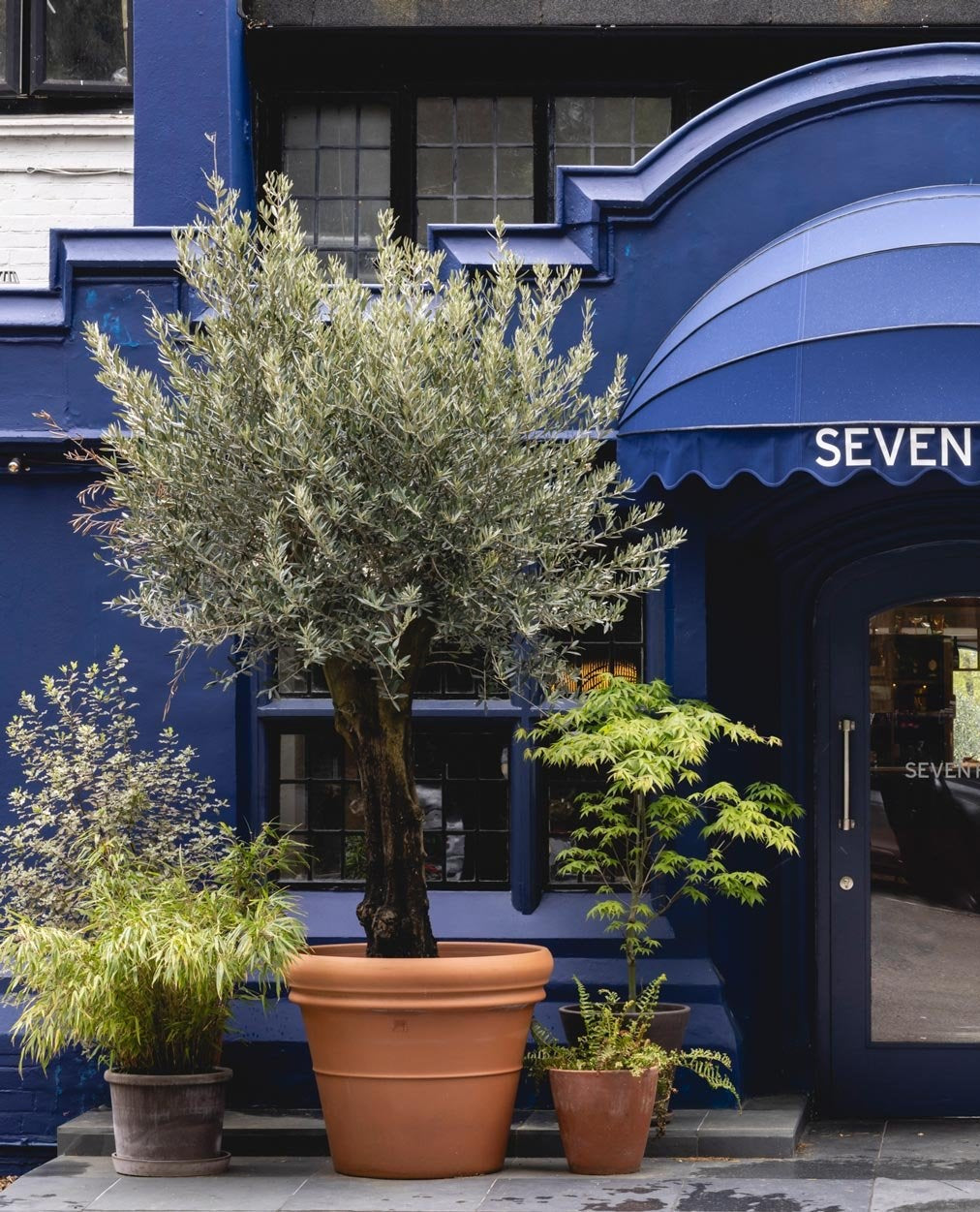 corporate / commercial plant maintenance