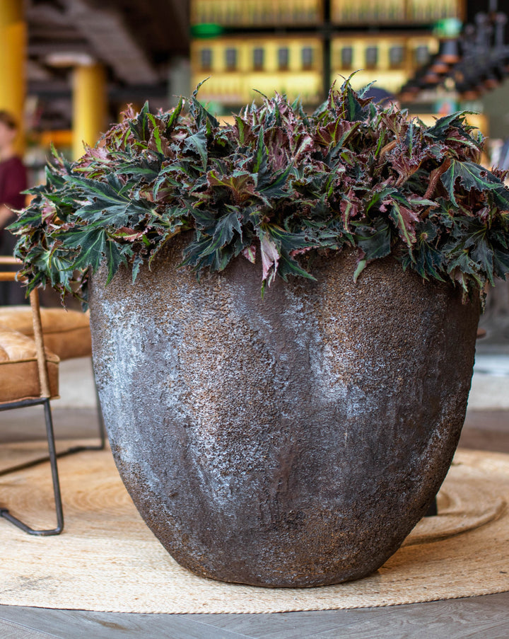 Oyster Couple Planters