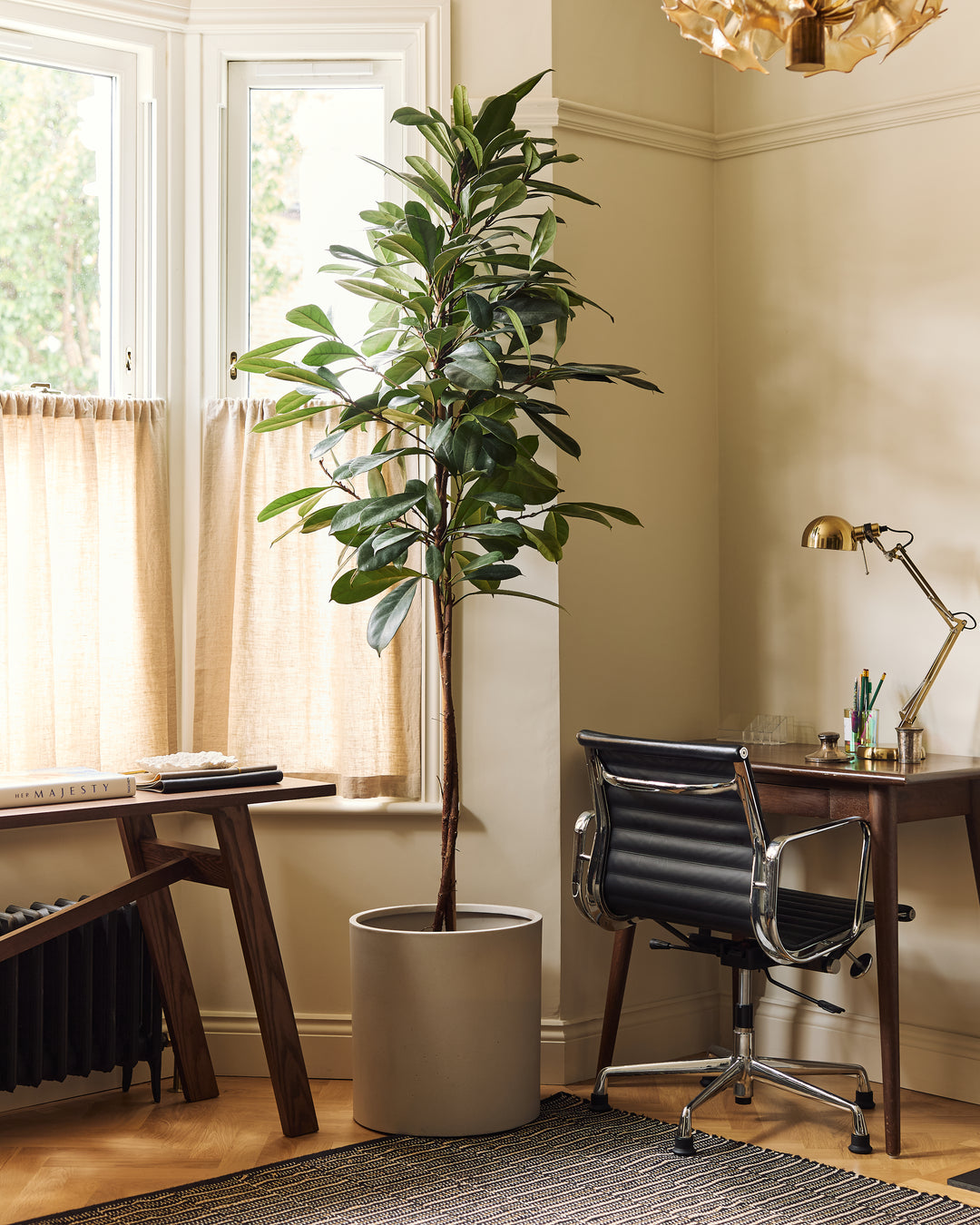 Cylindrical sandstone planter with plant