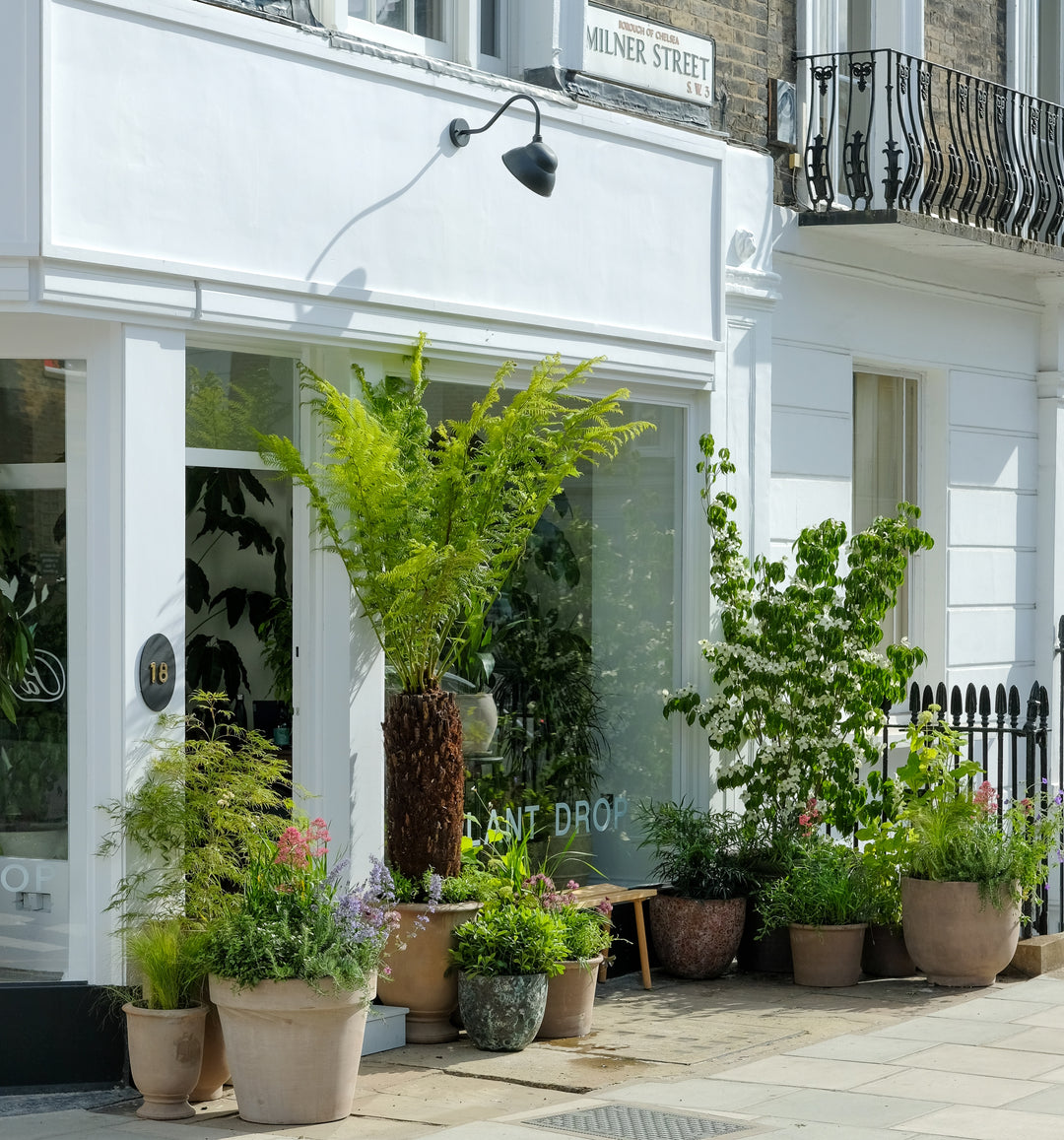 Living Arrangement Masterclass