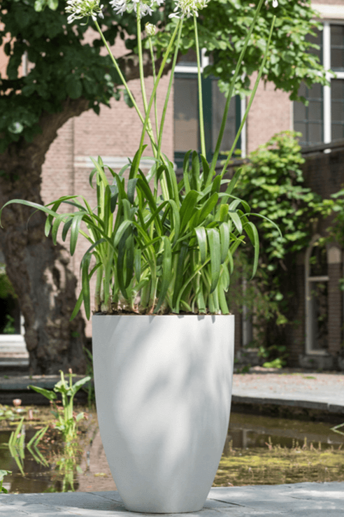 Refined Indoor Tall Vase Planters