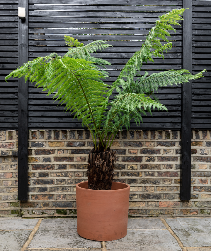 Outdoor Potting Service