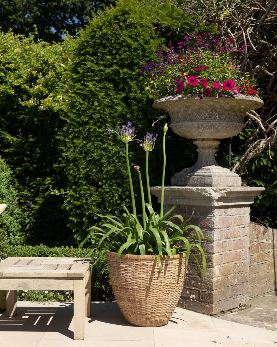 Bamboo Fiberclay Lined Baskets - Plant Drop