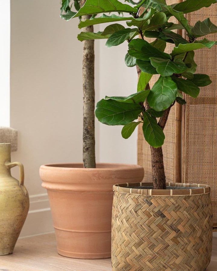 Bamboo Fiberclay Lined Planter - Plant Drop