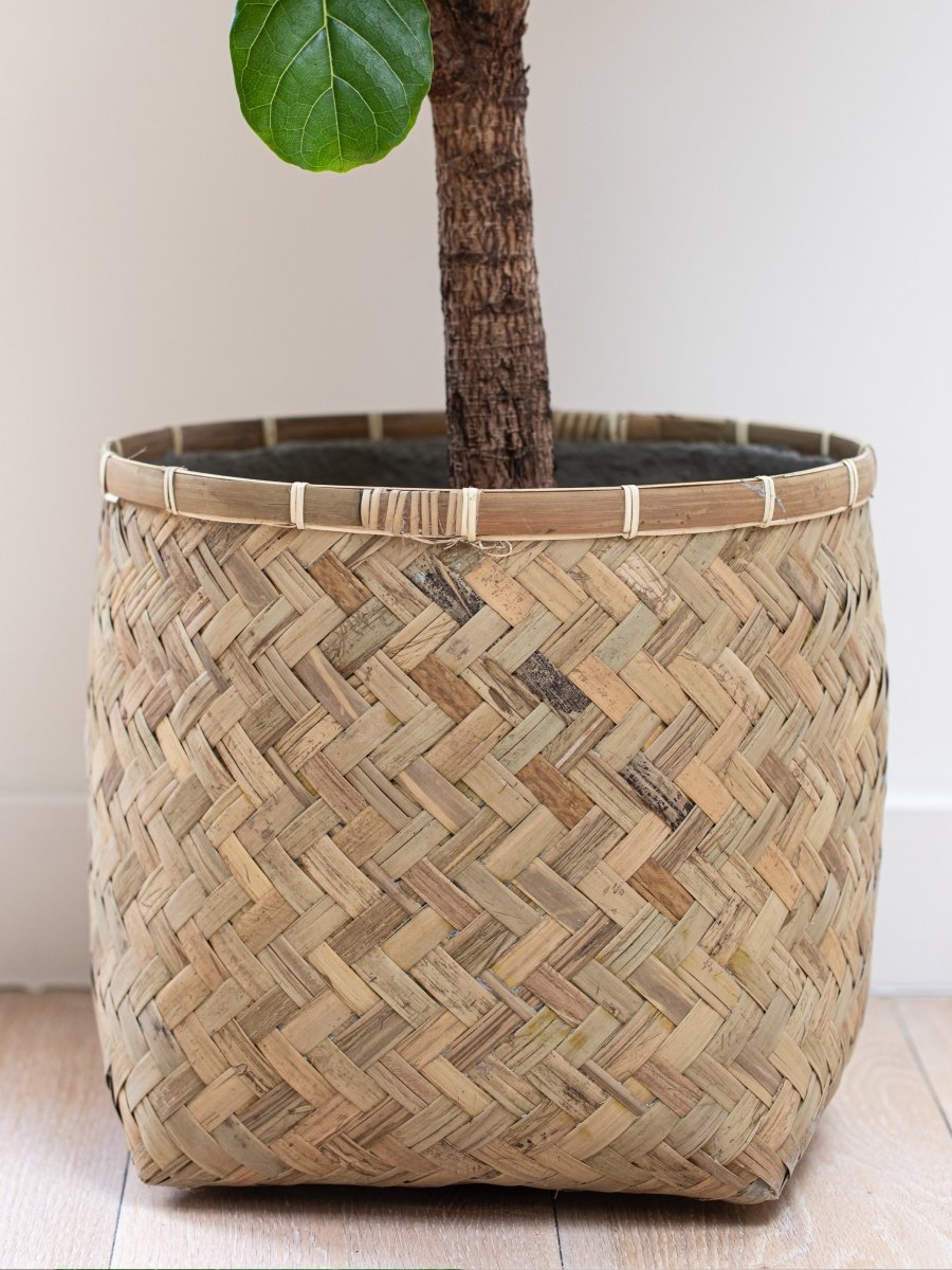 Bamboo Fiberclay Lined Planter - Plant Drop