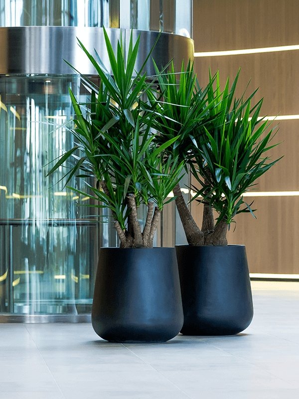 Black Fiberstone Flask Planter - Plant Drop