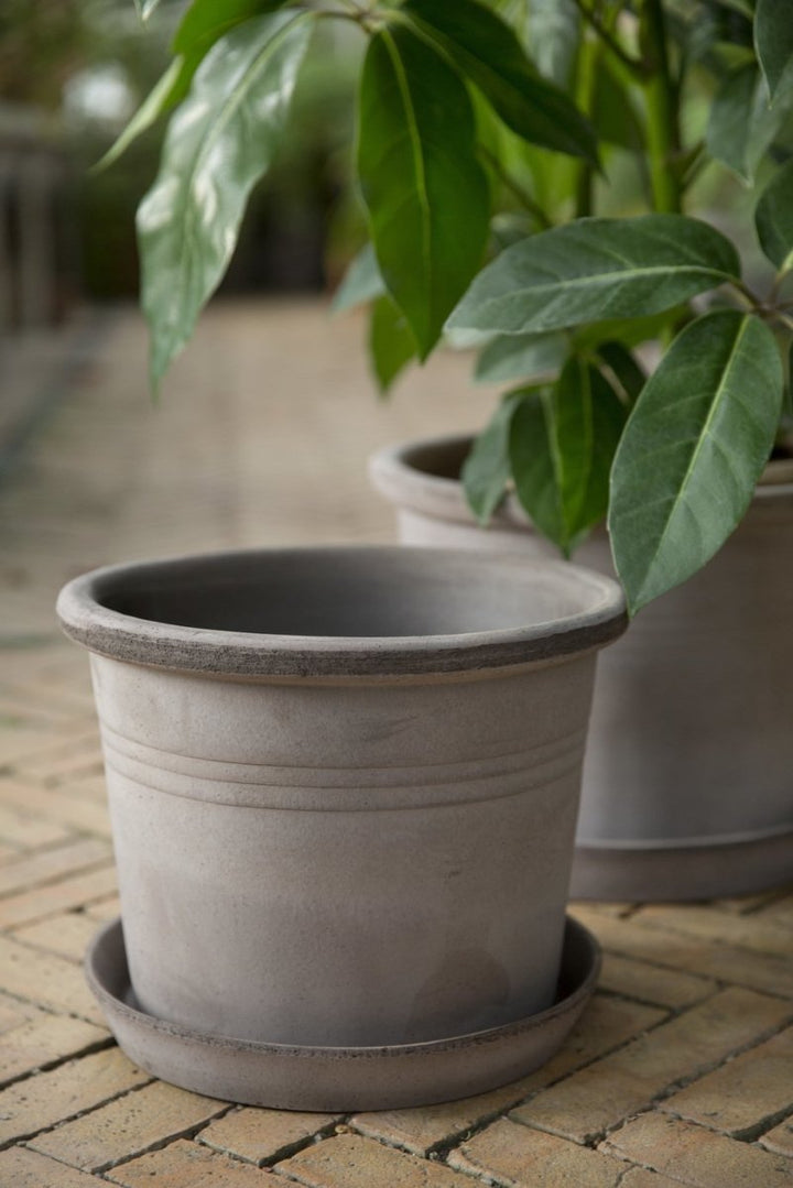 Galestro Terracotta Pots By Bergs - Plant Drop