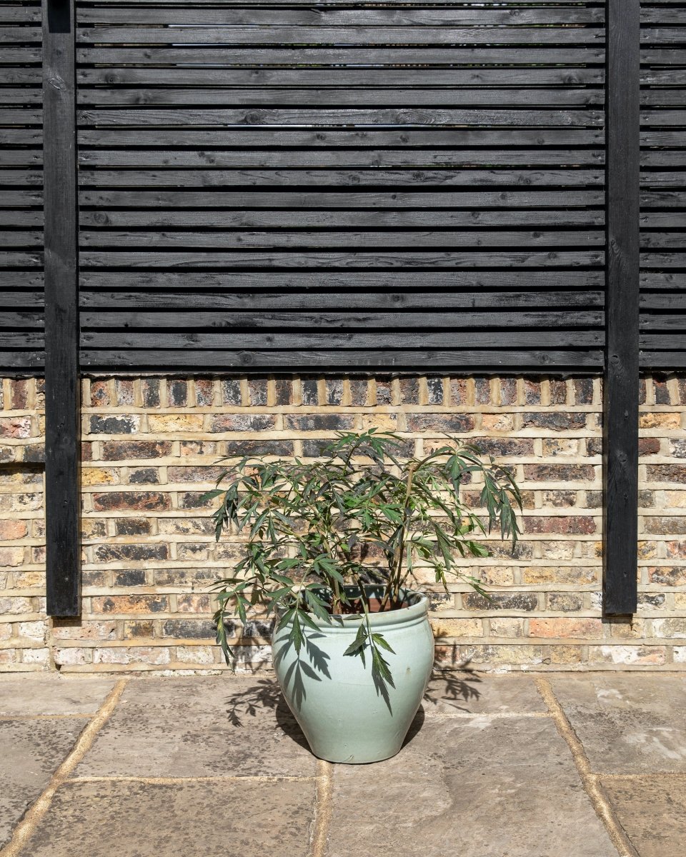 Glazed Jardiniere, Blue and Green - Plant Drop