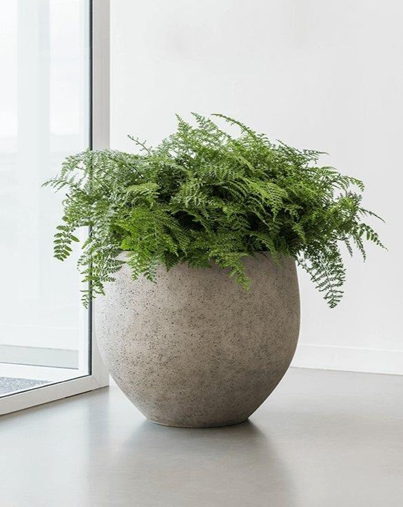 Grey-Beige Washed Concrete Orb - Plant Drop