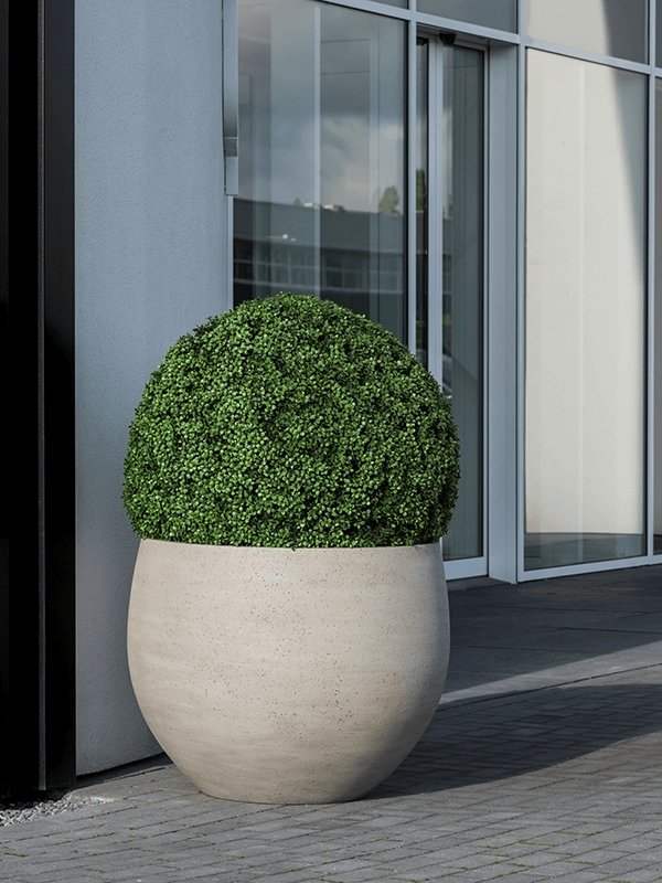 Grey-Beige Washed Concrete Orb - Plant Drop